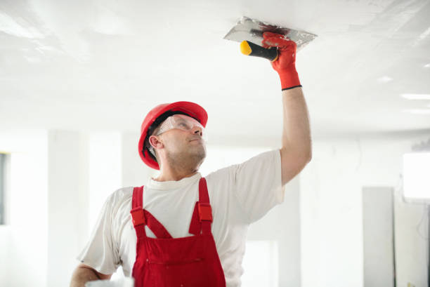 Best Commercial Painting  in Wymore, NE